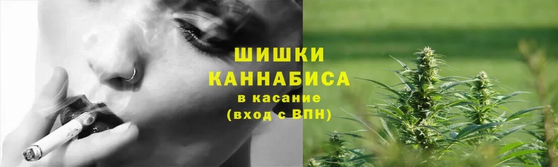 Марихуана SATIVA & INDICA  Беломорск 